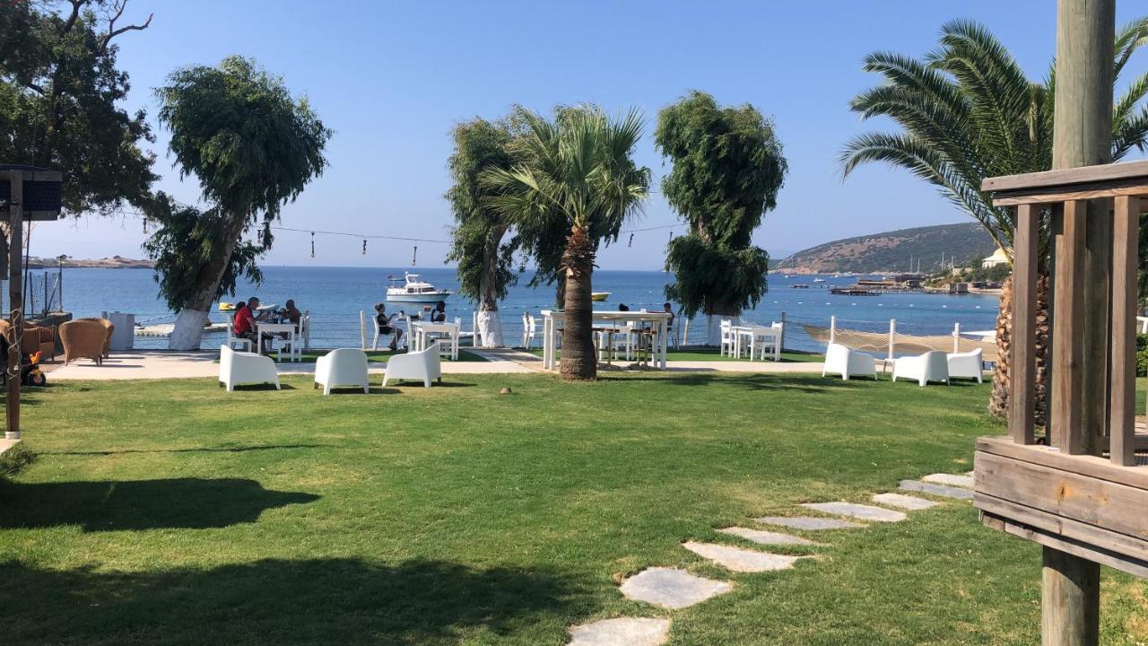 Cove 2* גומבט