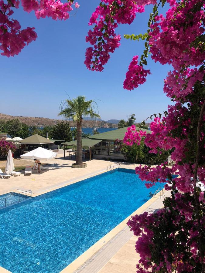 Cove Hotel 2*