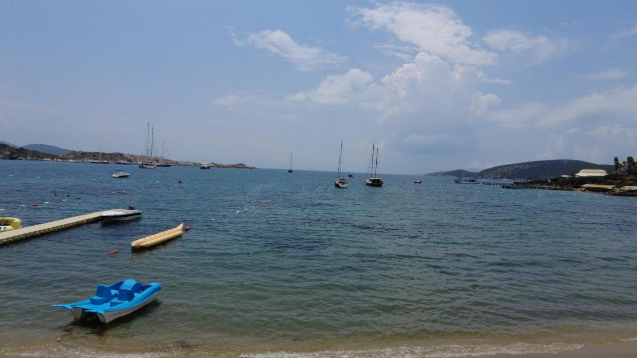 Cove מלון