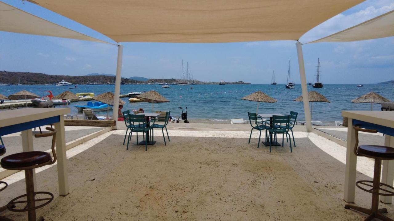 Cove גומבט
