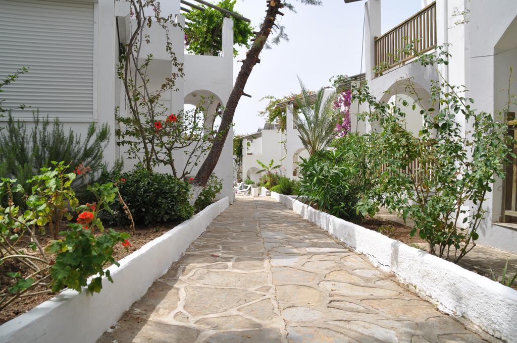 Cove גומבט