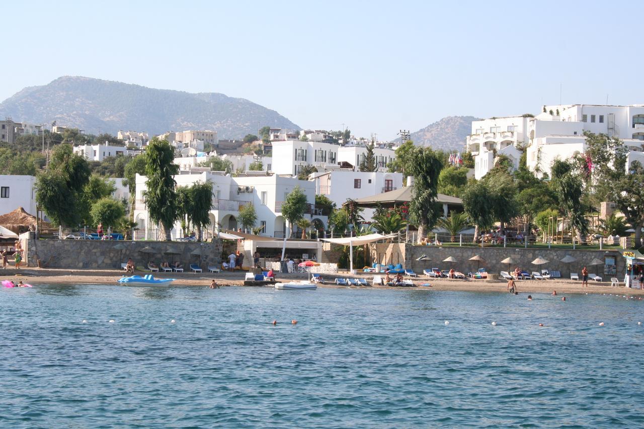 Cove 2*