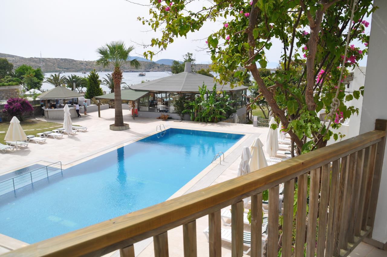 מלון Cove