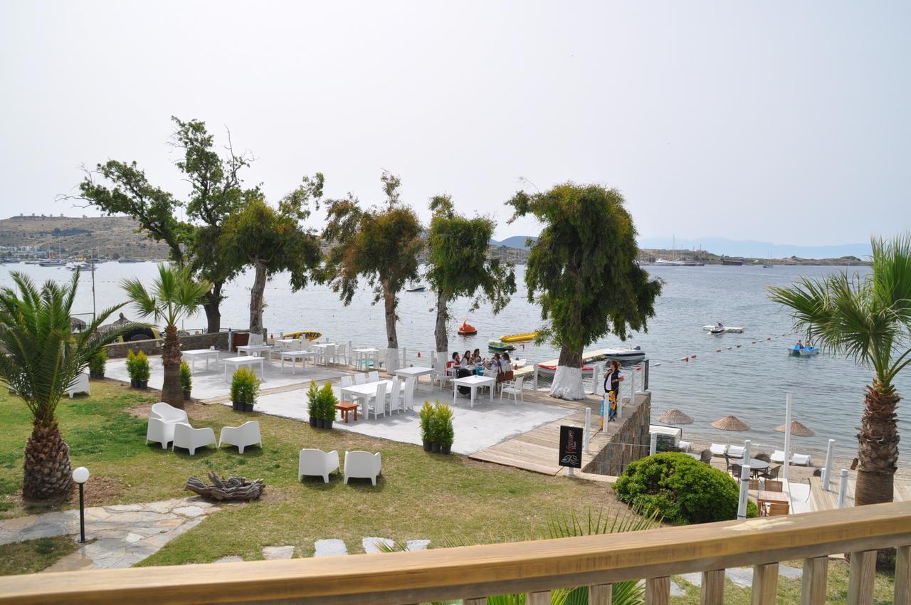 Cove 2*