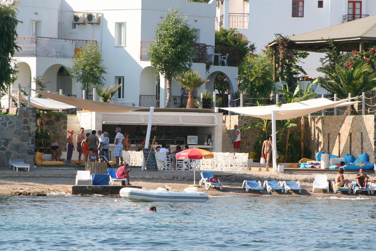 Cove גומבט