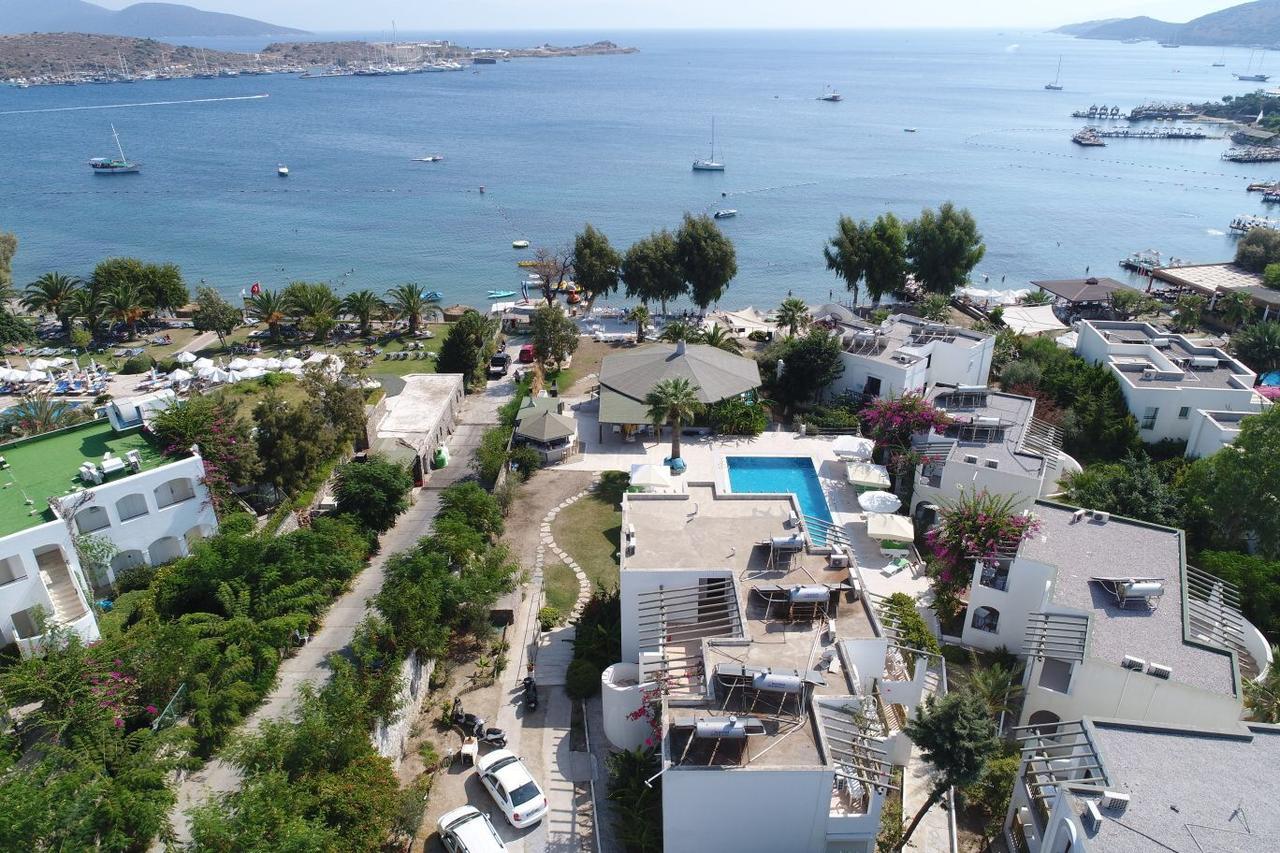 מלון Cove 2*