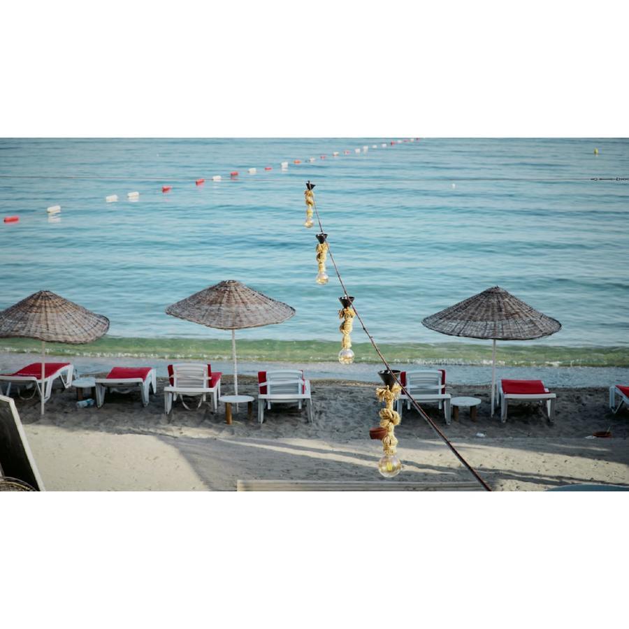 מלון Cove